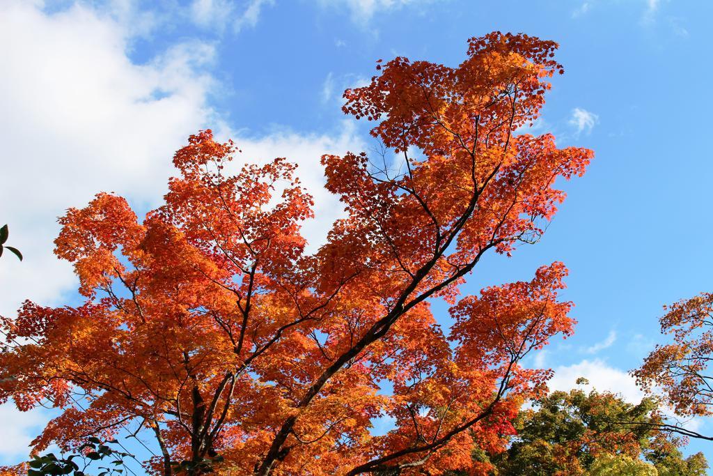 Hotel Gora Saryo Hakone Exterior foto